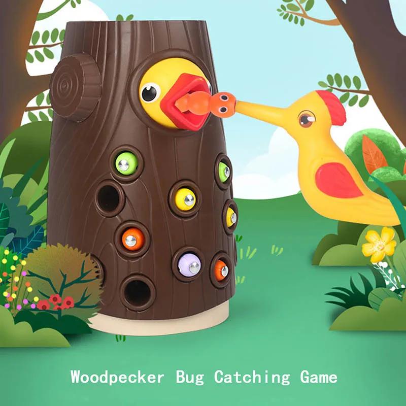 Woodpecker-׼Ҹ ׳ƽ ĳġ   峭,     ̸  峭    ϱ